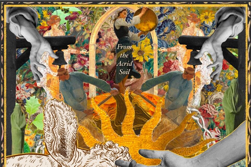 A collage style image featuring the human form, hands, floral and botanical imagery and the words From the Acrid Soil.